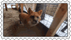 fox stamp :3